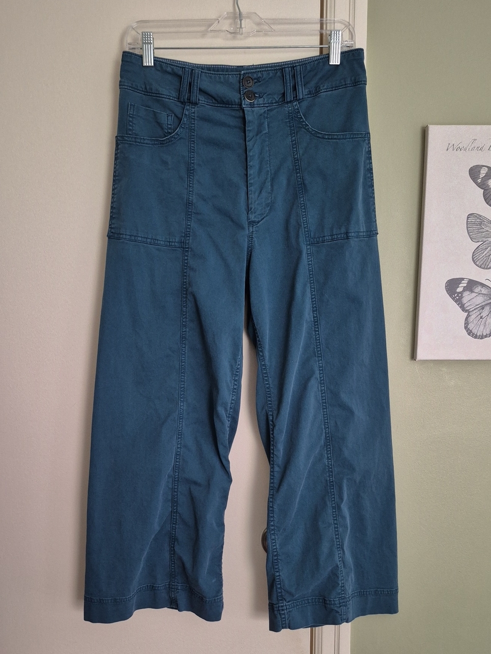 EUC Anthropologie Pilcro Wide-Leg HIGH-Rise Ankle Pants, 30